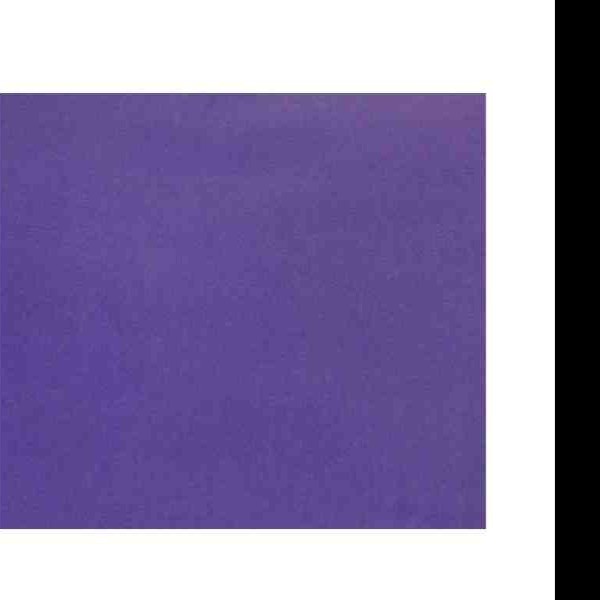 PAPEL LUSTRE SATINADO 49X66 CM. MORADO 313 E.25 C.500